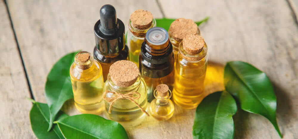 Benefit of Tea Tree Oil for Dandruff